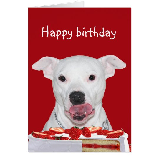 Pit Bull Terrier Birthday Card | Zazzle.com