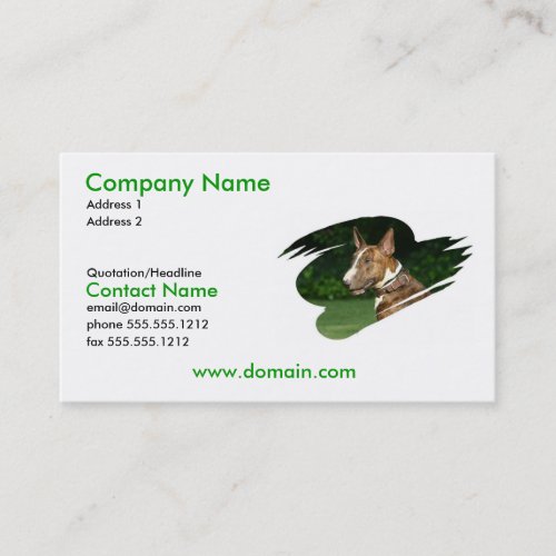 Pit Bull Terrier Business Card