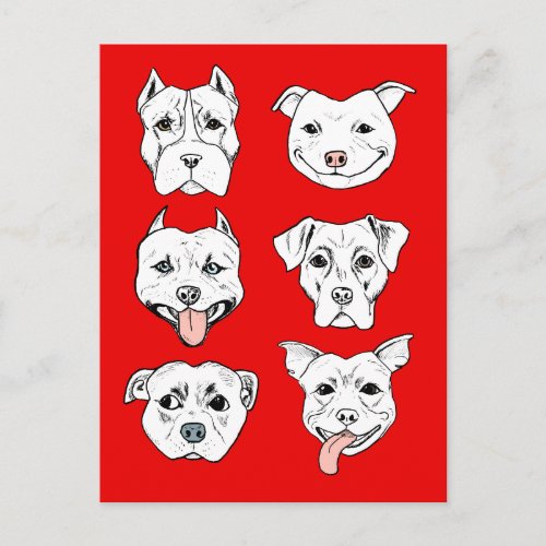 Pit Bull Terrier Dog Red Postcard