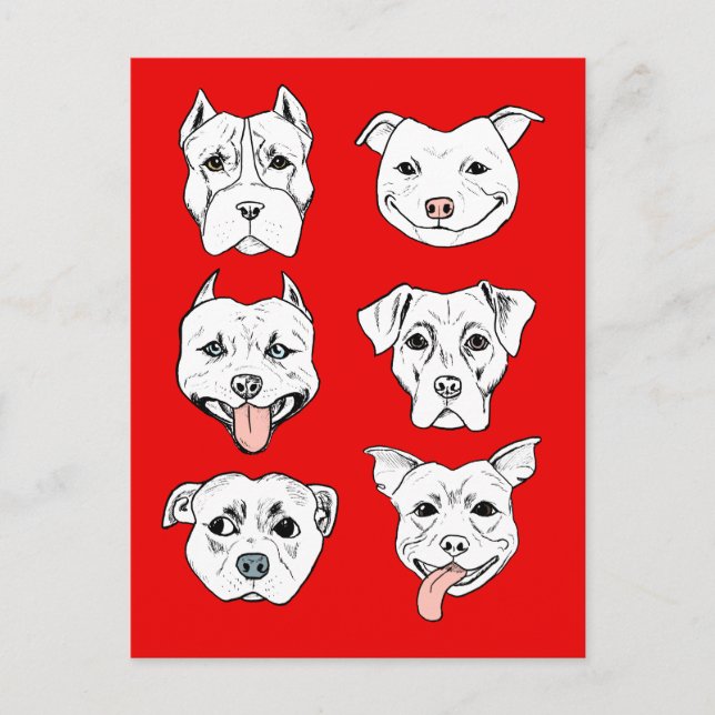 Pit Bull Terrier Dog Red Postcard (Front)