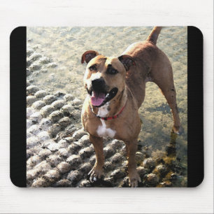Pit Bull Terrier Mouse Pad