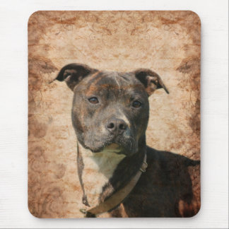Pit Bull Terrier Mouse Pad