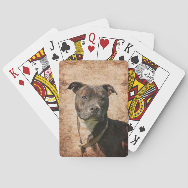 Pit Bull Terrier Poker Cards (Back)