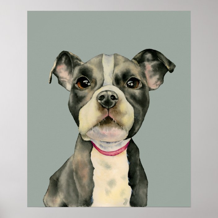 Pit Bull Terrier Puppy Dog Watercolor Art Poster Zazzle Com