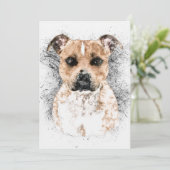 Pit Bull Terrier Sketch on 5" x 7" Cardstock (Standing Front)