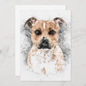 Pit Bull Terrier Sketch on 5" x 7" Cardstock (Front/Back)