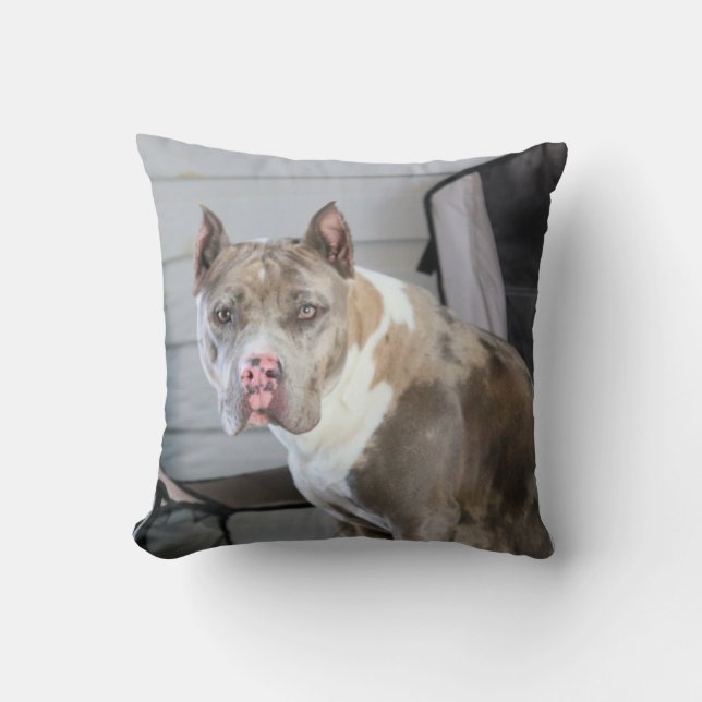 Pit bull throw pillow (Front)