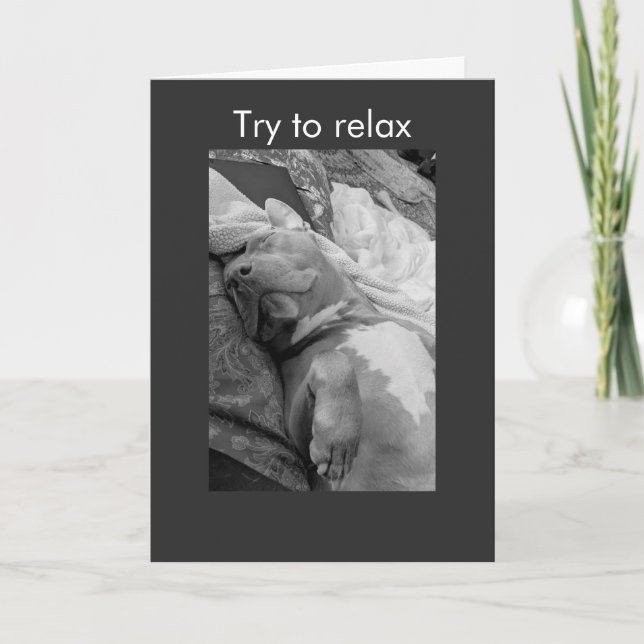 Pit Bull try to relax Card (Front)