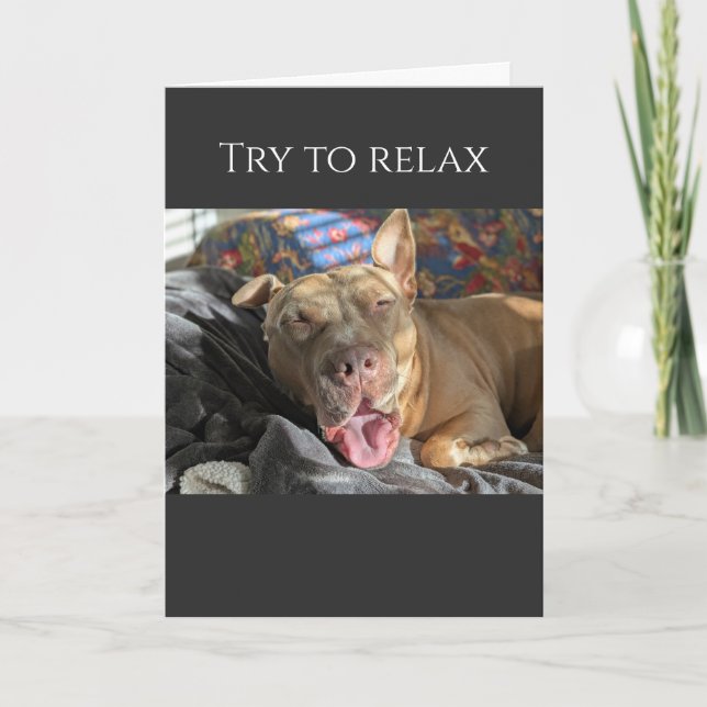 Pit Bull try to relax get well Card (Front)