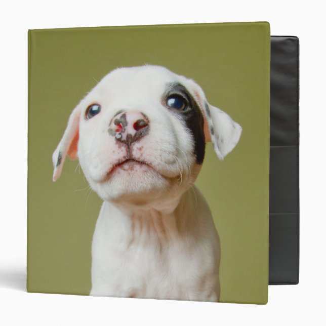 Pit Bull With Black Spotted Eye Binder (Front/Inside)