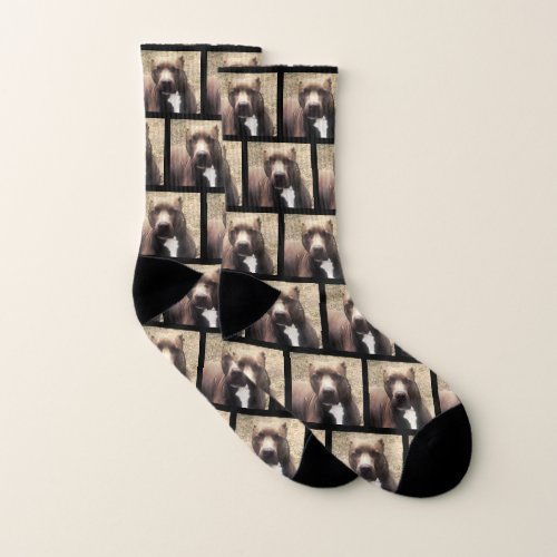 Pit Bulldog Pattern Pet Photo Custom Socks