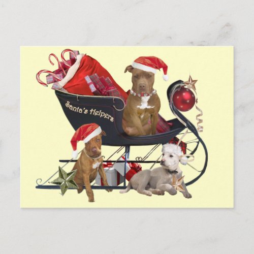 Pitbill Terrier Santas Helpers Holiday Postcard