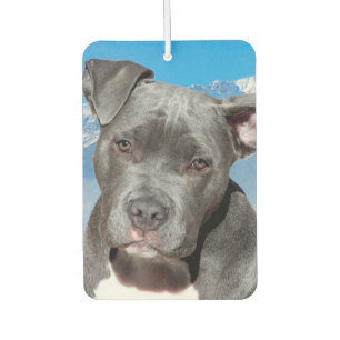 Pitbull Air Freshener