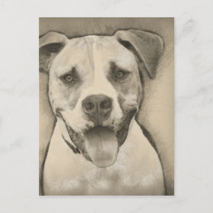 Download Staffordshire Bull Terrier Dog Postcards No Minimum Quantity Zazzle
