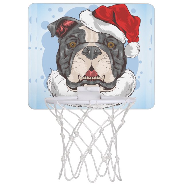 Pitbull Basketball Hoop (Front)