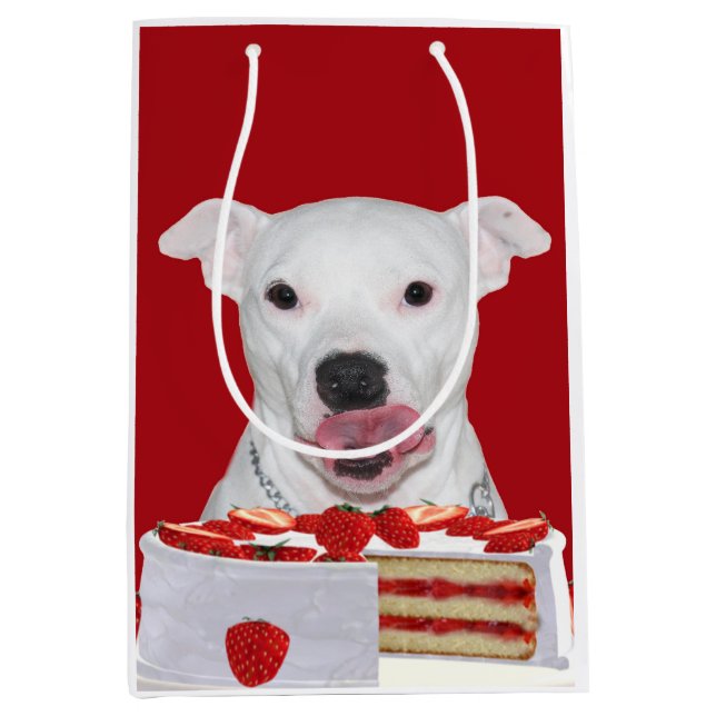 Pitbull birthday medium gift bag (Front)