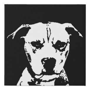 Pitbull Black & White Faux Wrapped Canvas Wall Art