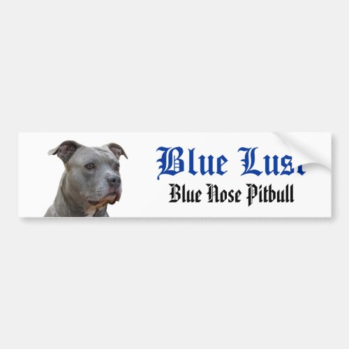 Pitbull Blue Lust Bumper Sticker