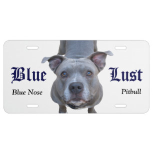 Pitbull Blue Lust Front License Plate