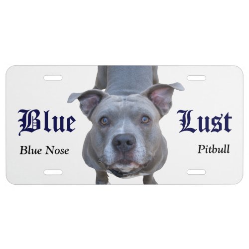 Pitbull Blue Lust Front License Plate