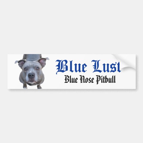 Pitbull Blue Nose Pitbull Bumper Sticker