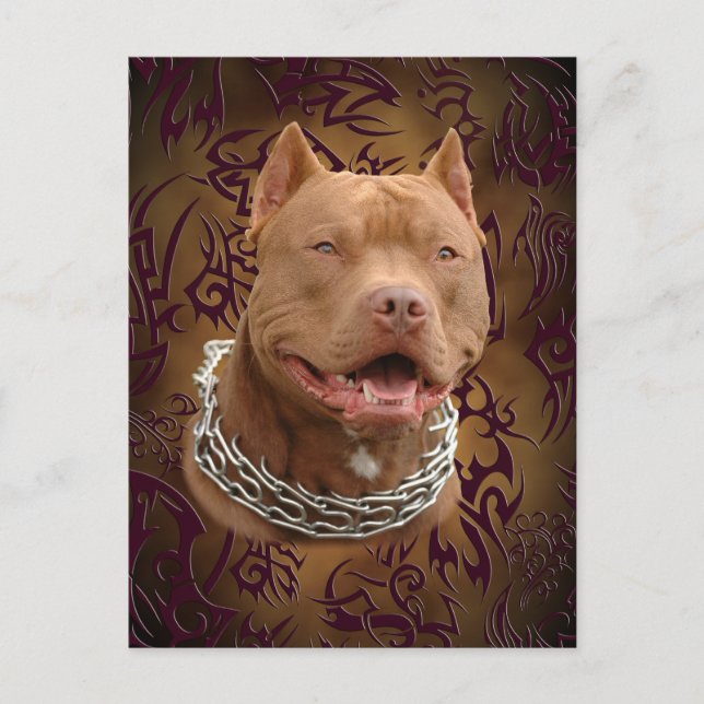 Pitbull brown tribal tattoo postcard (Front)