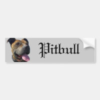 Pitbull bumper sticker