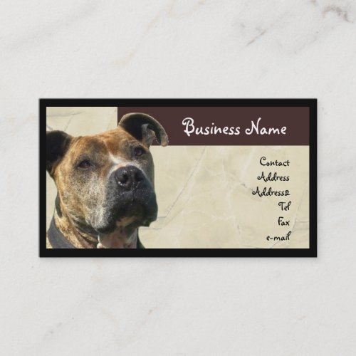 Pitbull Business Card