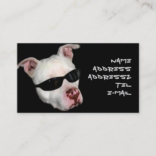Pitbull business cards