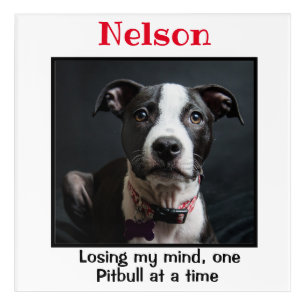 Pitbull Custom Wall Art