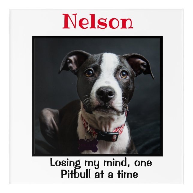 Pitbull Custom Wall Art (Front)