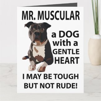 Pitbull Dog Animal Greeting 