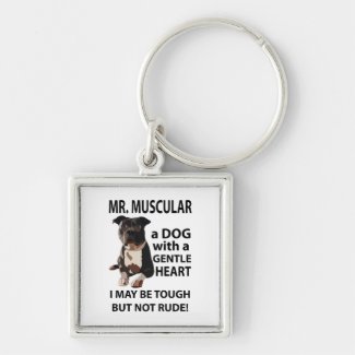 Pitbull Dog Animal Lover