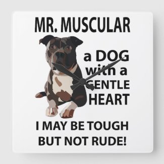 Pitbull Dog Animal