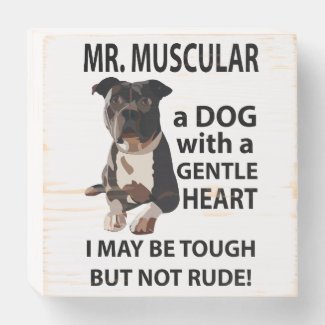 Pitbull Dog Animal