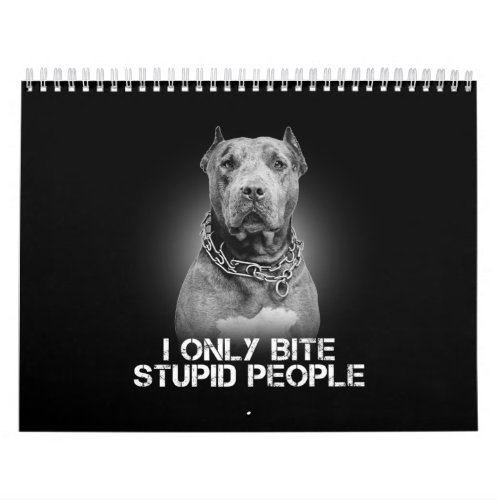 Pitbull Dog Calendar