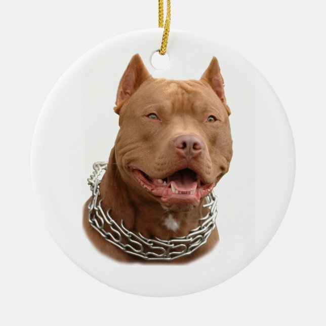 Pitbull dog ceramic ornament (Front)