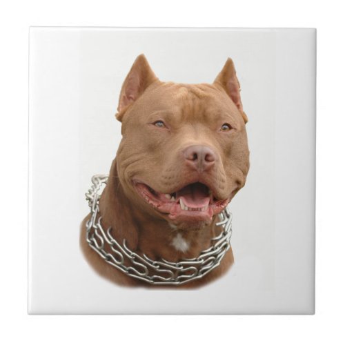 Pitbull dog ceramic tile