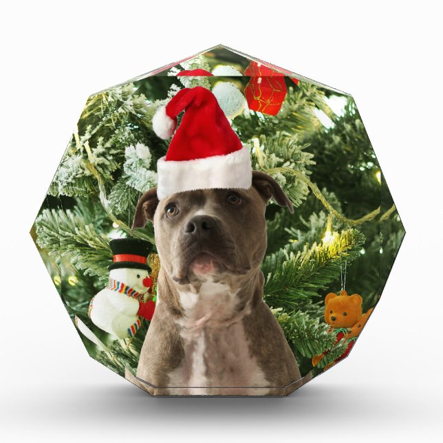 Pitbull Dog Christmas Tree Ornaments Snowman Acrylic Award (Front)