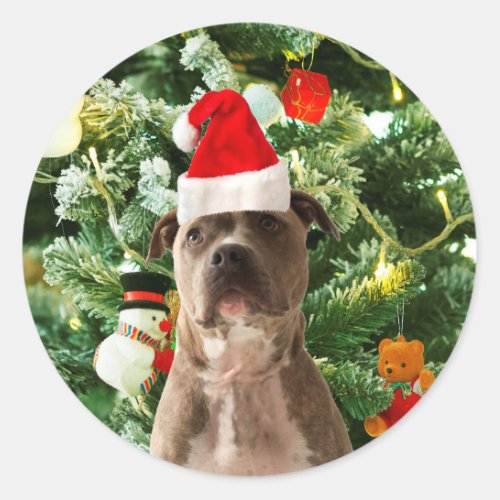 Pitbull Dog Christmas Tree Ornaments Snowman Classic Round Sticker