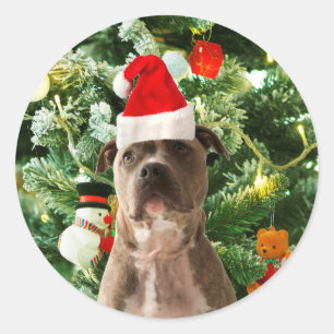 Pitbull Dog Christmas Tree Ornaments Snowman Classic Round Sticker