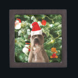 Pitbull Dog Christmas Tree Ornaments Snowman Gift Box<br><div class="desc">Pitbull Dog Christmas Tree Ornaments Snowman Doormat.Cute Pitbull Dog with Christmas Tree Ornaments Snow Man in background.</div>