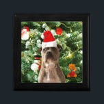 Pitbull Dog Christmas Tree Ornaments Snowman Jewelry Box<br><div class="desc">Pitbull Dog Christmas Tree Ornaments Snowman Doormat.Cute Pitbull Dog with Christmas Tree Ornaments Snow Man in background.</div>