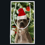 Pitbull Dog Christmas Tree Ornaments Snowman Small Gift Bag<br><div class="desc">Pitbull Dog Christmas Tree Ornaments Snowman Gift Bag.Cute Pitbull Dog with Christmas Tree Ornaments Snow Man in background.</div>