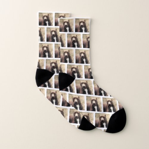 Pitbull Dog Custom Pet Photo Socks