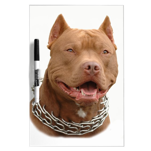 Pitbull dog Dry-Erase board (Front)