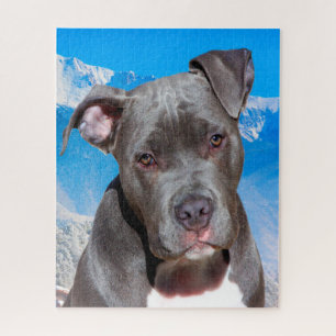 Pitbull Dog. Jigsaw Puzzle
