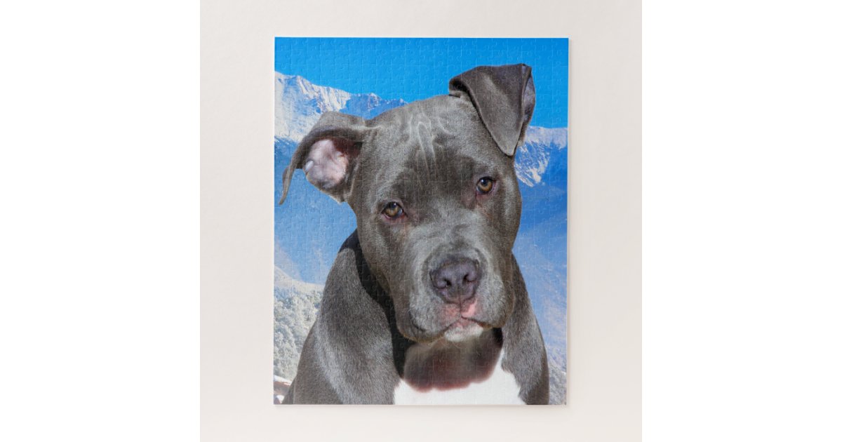 Pitbull Dog - Jigsaw Puzzle