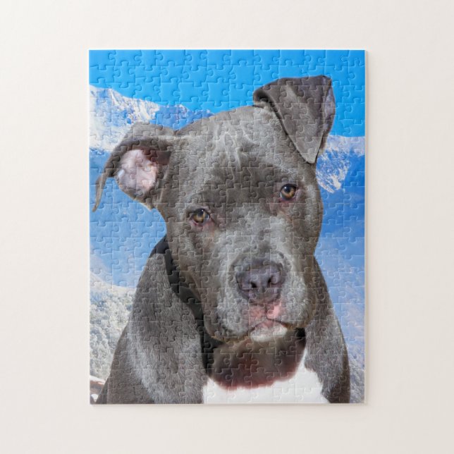 Pitbull Dog. Jigsaw Puzzle (Vertical)