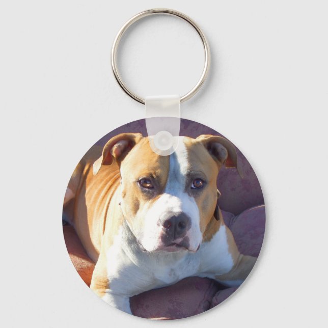 Pitbull Dog Keychain (Front)